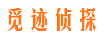 阳春侦探公司